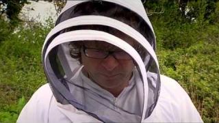 Bee Keeping at River Cottage